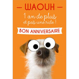 Carte anniversaire humour Chien waouh 1
