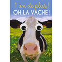 Carte anniversaire humour Vache 1