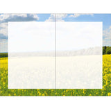 Carte anniversaire humour Vache 2