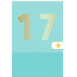 Carte d'anniversaire 17 ans en Or - Bleu turquoise - A message - Pour Ados Fille Garçon - 11,5 x 17 cm