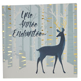 Coffret de cartes Croix-Rouge Une année enchantée 2