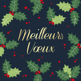 Coffret cartes de vœux Croix-Rouge Meilleurs vœux flocons 3