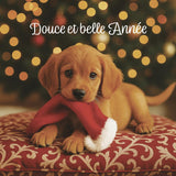 Coffret cartes de vœux Croix-Rouge Douce et belle année cadeaux 3