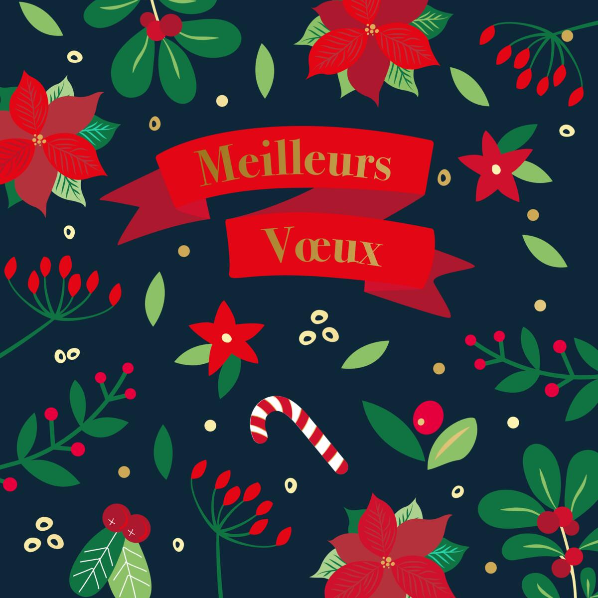 Coffret cartes de vœux Croix-Rouge Meilleurs voeux houx 3