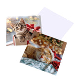 Coffret cartes de vœux Croix-Rouge Chats et cadeau 2