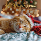 Coffret cartes de vœux Croix-Rouge Chats et cadeau 4