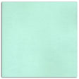 Papier scrapbooking Mahé Vert Menthe 30,5x30,5 cm